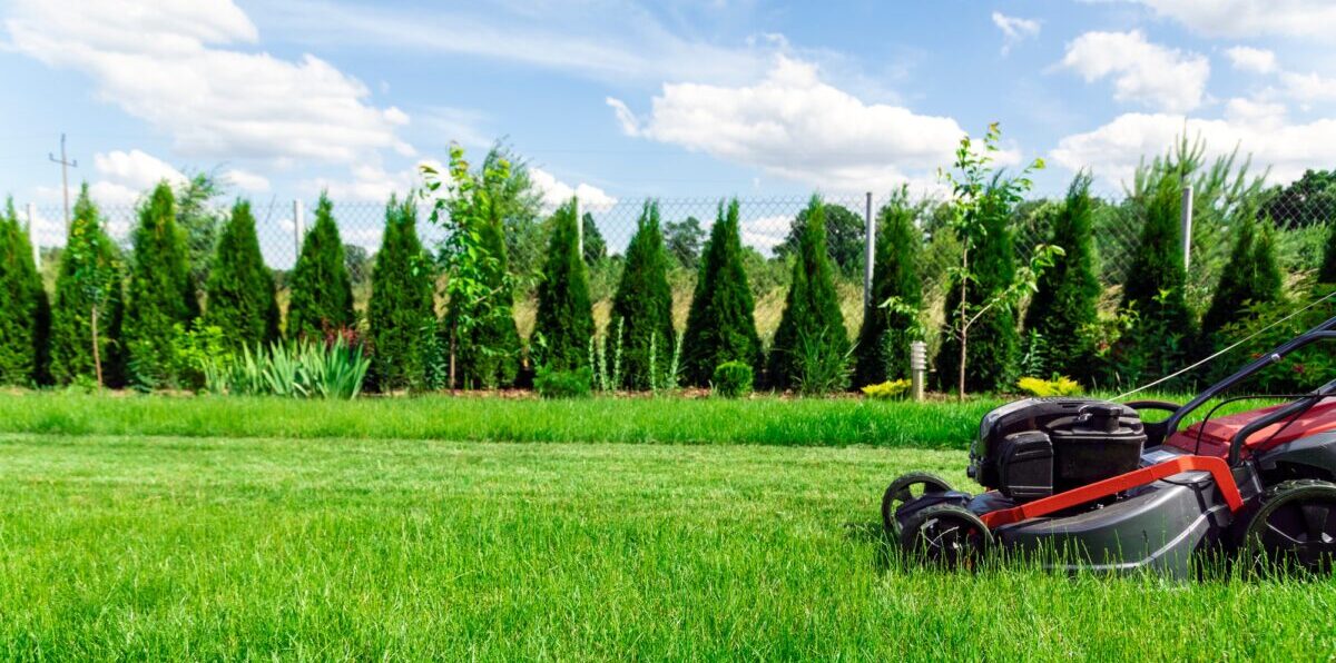 Mowing lawn in backyard